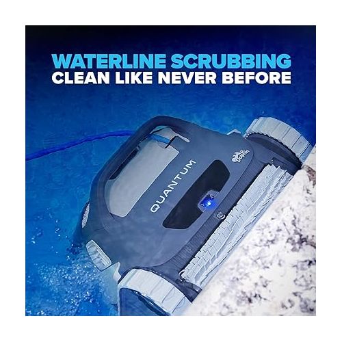  Dolphin Quantum Robotic Pool Cleaner (2024 Model) ? Oversized Ultra-Fine and Standard Filter Bin, Weekly Timer, Anti-Tangle Swivel, & Waterline Cleaning for In-Ground Swimming Pools up to 50ft