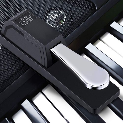  [아마존베스트]Donner DSP-003 Universal Sustain Pedal with Polarity Switch for MIDI Keyboards, Digital Pianos, Synth (1/4 Inch Jack)