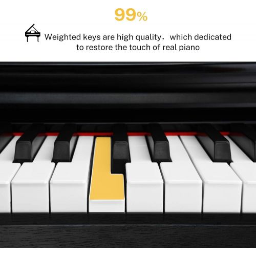  [아마존베스트]Donner DDP-100 88-Key Weighted Action Digital Piano, Beginner Bundle with Furniture Stand, Power Adapter, Triple Pedals, MP3 Function, Black
