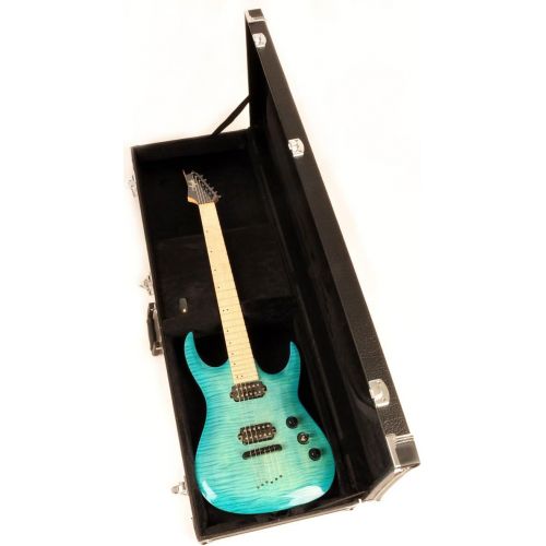  [아마존베스트]Douglas EGC-200 EXP Guitar Case for longer scale (baritone) models