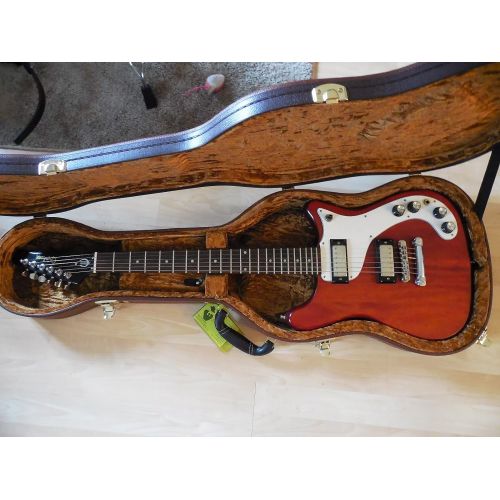  [아마존베스트]Douglas EGC-450 ST Brown/Gold Guitar Case for Fender Stratocaster Telecaster Strat Tele Rickenbacker 610, 620, 660 Epiphone Coronet and Wilshire