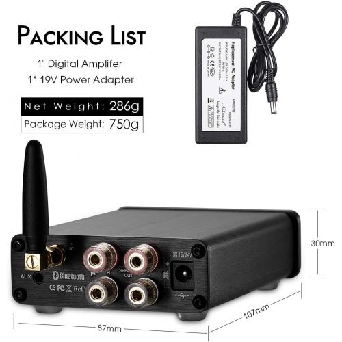  2 Channel Bluetooth 5.0 Power Amplifier 100W Class D Hi-Fi Stereo Audio Mini Amp Wireless Receiver Home Theater Treble Bass Control Douk Audio G3 (Black)