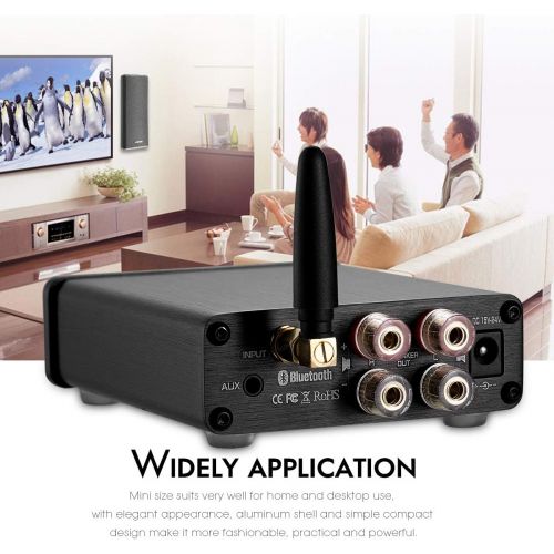  2 Channel Bluetooth 5.0 Power Amplifier 100W Class D Hi-Fi Stereo Audio Mini Amp Wireless Receiver Home Theater Treble Bass Control Douk Audio G3 (Black)