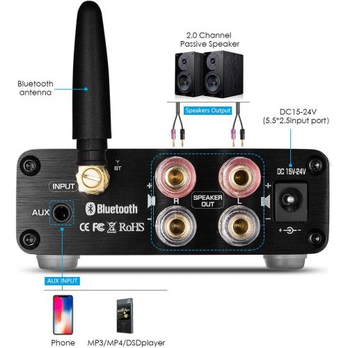  2 Channel Bluetooth 5.0 Power Amplifier 100W Class D Hi-Fi Stereo Audio Mini Amp Wireless Receiver Home Theater Treble Bass Control Douk Audio G3 (Black)