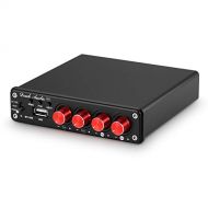 Douk Audio HiFi Bluetooth 5.0 Digital Power Amplifier Stereo 2/4 Channel Audio Amp 50W x 4