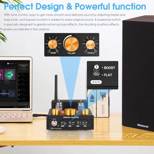  Douk Audio HiFi Stereo Bluetooth 5.0 Vacuum Tube Amplifier MM Phono Amp for Turntables 320W