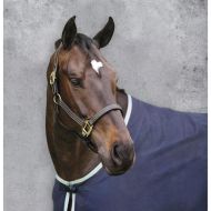Suffolk® by Dover Saddlery® Triple-Stitched Halter