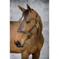 Dover Saddlery® Classic Triple-Stitched Halter