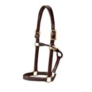 Dover Saddlery Walsh™ Signature Padded Halter