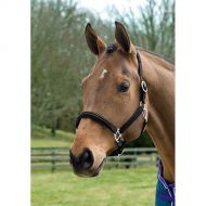 Dover Saddlery® Classic Double-Raised Padded Halter