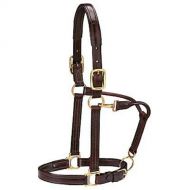 Dover Saddlery® Premium Padded Halter