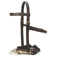 Dover Saddlery® Leather Lunge Caveson