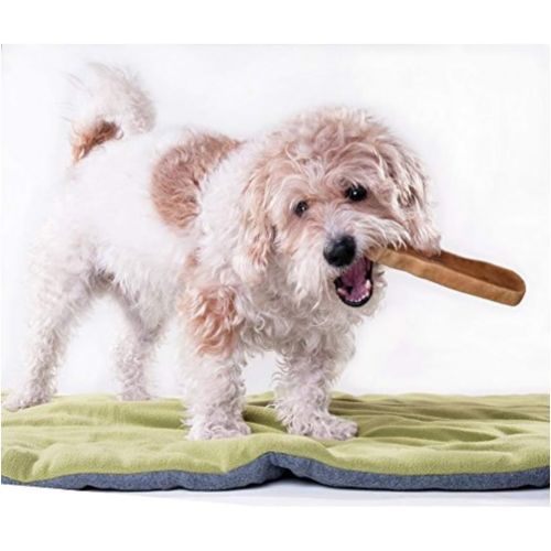  [아마존 핫딜]  [아마존핫딜]Downtown Pet Supply Himalayan Yak Dog Chew, 100% Natural Dog Chews for Small, Medium, and Large Dogs: Mixed Packs, Variety of Sizes