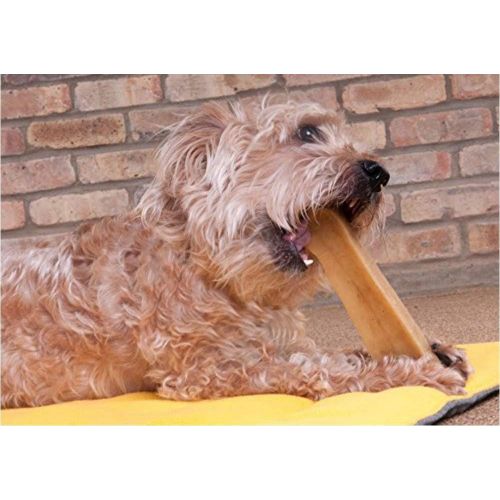  [아마존 핫딜]  [아마존핫딜]Downtown Pet Supply Himalayan Yak Dog Chew, 100% Natural Dog Chews for Small, Medium, and Large Dogs: Mixed Packs, Variety of Sizes