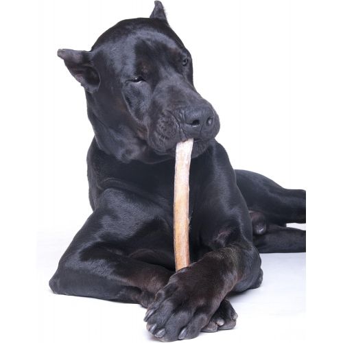  [아마존 핫딜]  [아마존핫딜]Downtown Pet Supply 6 and 12 inch Premium All Natural Beef Bully Sticks, Jumbo Extra Thick Dog Dental Chew Treats - No Grain, High in Protein, Low in Fat