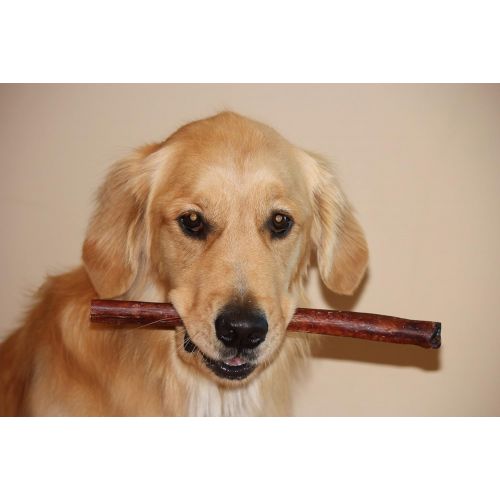  [아마존 핫딜] Downtown Pet Supply 12 Bully Sticks - Large Select Thick - Dog Chew Treats, Natural Beef Chews Makes Great Dental Dog Treats (12 inch)