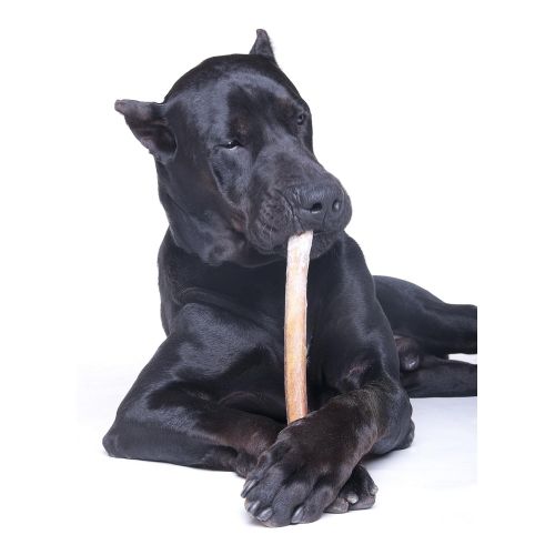  Downtown Pet Supply 6 & 12 inch Premium All Natural Beef Bully Sticks, Jumbo Extra Thick Dog Dental Chew Treats - Grain Free, High in Protein, Low in Fat