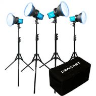 Dracast X Series M80 Daylight LED 4-Light Kit with Nylon Padded Travel Case