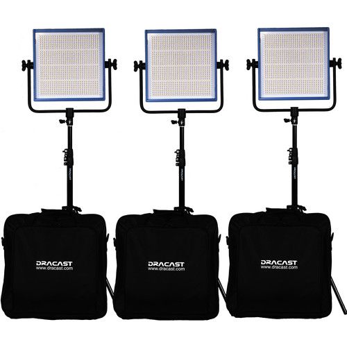  Dracast Pro Series LED1000 Daylight LED Light Panel (Gold Mount, Interview 3-Light Kit)