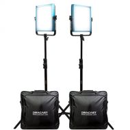 Dracast Pro Series LED1000 Daylight LED Light Panel (Gold Mount, Interview 2-Light Kit)