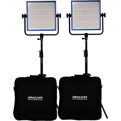  Dracast Pro Series LED1000 Daylight LED Light Panel (Gold Mount, Interview 2-Light Kit)