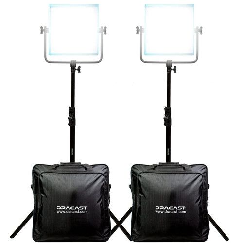  Dracast Pro Series LED1000 Daylight LED Light Panel (Gold Mount, Interview 2-Light Kit)