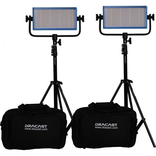  Dracast Pro Series LED500 Daylight LED Light Panel (Gold Mount, Interview 2-Light Kit)