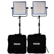 Dracast Pro Series LED1000 Daylight LED 2 Light Kit with Gold Mount Battery Plates and Light Stands