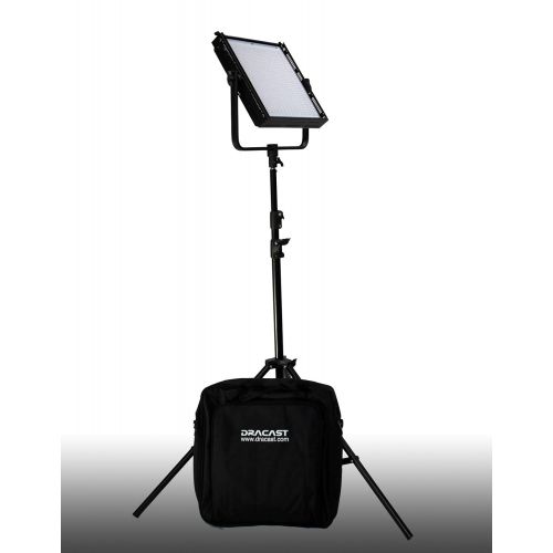  Dracast DR-LK-1x500-1x1000-TSG Pro 1 x LED500 and 1 LED1000 Kit, Tungsten Spot with Gold Mount Battery Plates (Black)