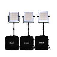 Dracast DRP-LK-3x1000-DV 3 X LED1000 Kit, Daylight with V-Mount Battery Plates (Blue)