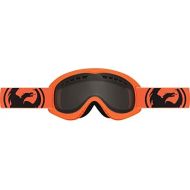 Dragon Alliance DXS Ski Goggles