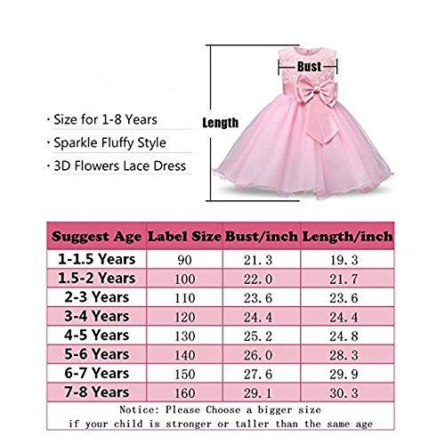  Dream-Store Girls Sleeveless Lace 3D Rose Flower Bowknot Princess Dresses Holiday Performance Skirt