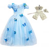 DreamHigh Princess Cinderella Butterfly Costume Dress with Cosplay Accessories 3-10 Yrs