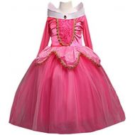 DreamHigh Sleeping Beauty Princess Party Girls Costume Dress 2 10 Years