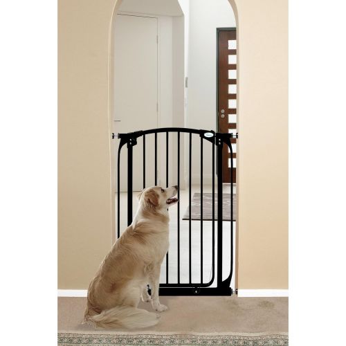  Dreambaby Chelsea Tall Auto Close Stay Open Security Gate