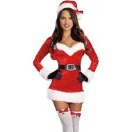 할로윈 용품Dreamgirl Womens Santa Baby Costume