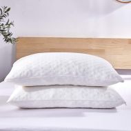 [아마존 핫딜]  [아마존핫딜]Dreaming Wapiti Pillows for Sleeping, 2 Pack Shredded Memory Foam with Machine Washable Bamboo Cover, Adjustable Loft - Stomach Side Back Sleeper (Queen), White