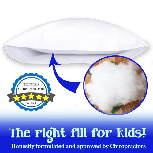  Dreamtown Kids Toddler Pillow with Pillowcase 14x19 White. Chiropractor Recommended. Made in USA. Ideal for Daycare, Baby Cribs, Toddler beds and car Rides.