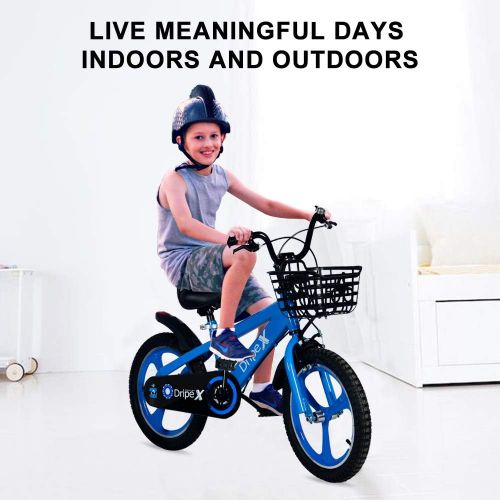  Kids Bike, Dripex Kids Bicycle with Integrated Wheel & Brakes, Safe 14 16 18 20 Inch Boys Bike, Training Wheels, Kickstand, Basket, Bell Included, Dirt Bikes for 3-13 Ages, Blue Pu