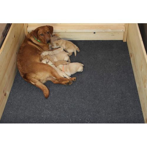  Drymate Whelping Box Liner Mat, Washable and Reusable Puppy Pad, Can Be Cut to Fit, Made in The USA