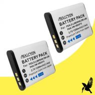 Two Halcyon 1200 mAH Lithium Ion Replacement Battery for Sanyo VPC-CG20 Dual Camera Digital Camcorder and Sanyo DB-L80