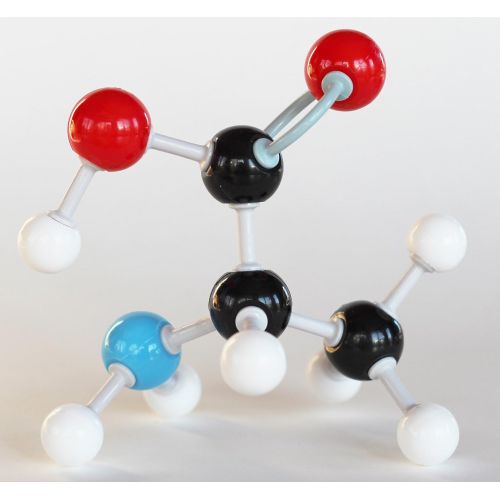  Duluth Labs Organic Chemistry Model Student Kit - (125 Pieces) - MM-003