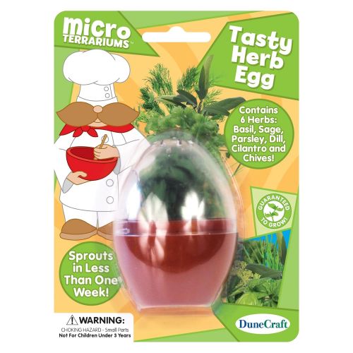  DuneCraft Dunecraft Tasty Herb Egg Science Kit