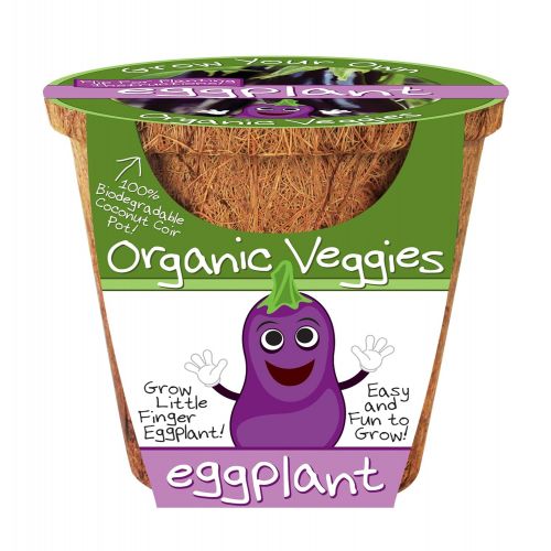  DuneCraft Eggplant Organic Veggies Science Kit