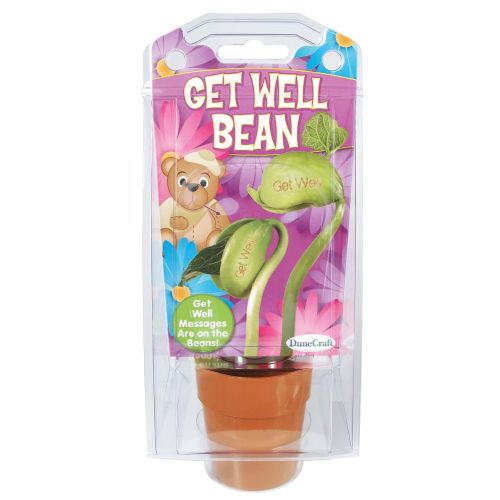  DuneCraft Dunecraft Get Well Bean Science Kit