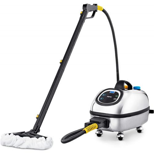  [아마존베스트]Dupray Hill Injection Commercial Steam Cleaner - Silver