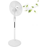 [아마존베스트]Duronic FN30 Turbo Floor Fan 60 W | Diameter: 45 cm | 3 Speeds | Oscillation Function | Round Base | Height Adjustable - Floor Fan | Fan | Home Office