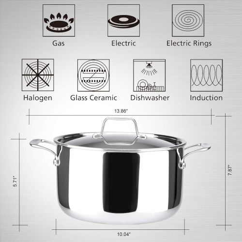  Duxtop Whole-Clad Tri-Ply Stainless Steel Stockpot with Lid, 6.5 Quart, Kitchen Induction Cookware