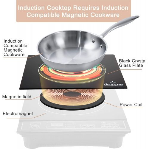  [아마존베스트]Duxtop 1800W Portable Induction Cooktop Countertop Burner, Gold 8100MC/BT-180G3