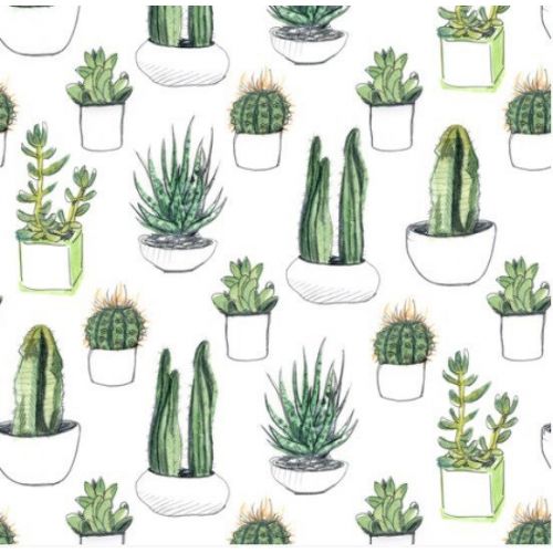  DwellDarling cactus crib sheet, cacti nursery, gender neutral nursery, modern baby bedding, succulent crib sheet, crib bedding